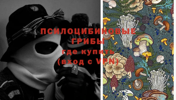 mix Нея