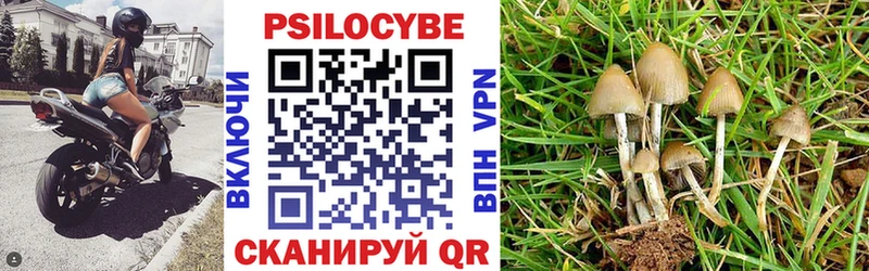 купить наркотики цена  Усть-Кут  Галлюциногенные грибы мицелий 