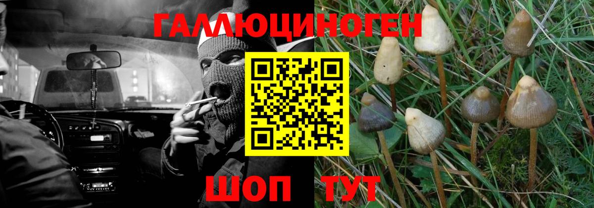 Галлюциногенные грибы MAGIC MUSHROOMS Усть-Кут