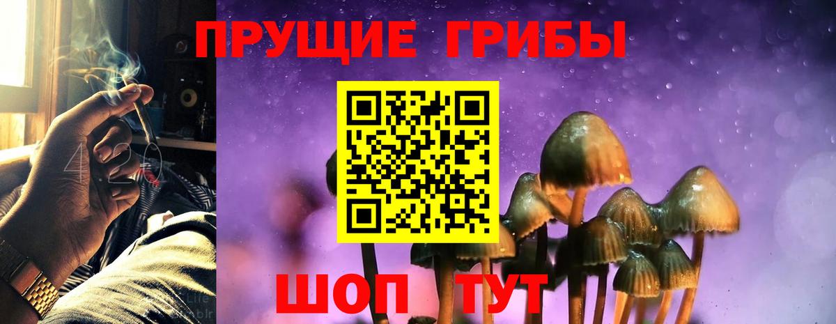 Усть-Кут  Галлюциногенные грибы GOLDEN TEACHER  Псилоцибиновые грибы Cubensis  Вход с VPN 
